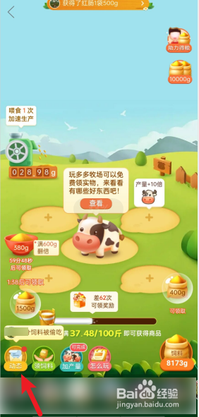 如何查看多多牧场的动态？