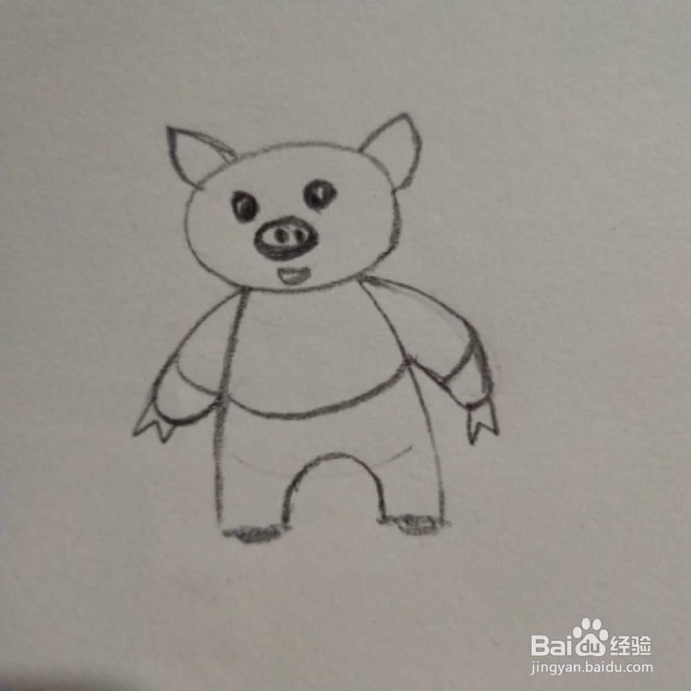 猪年小猪宝贝简笔画