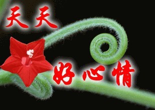 早晨你不能做的事情