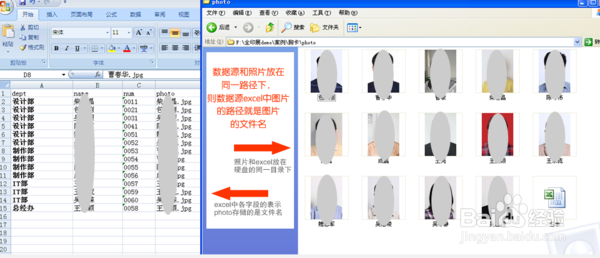HiVDP可变数据软件批处理图像更加方便
