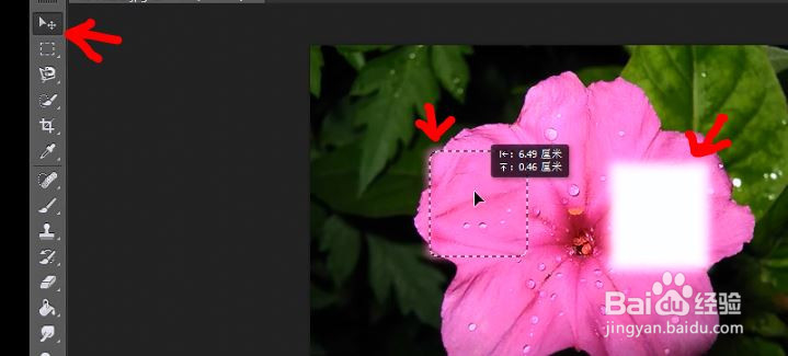 如何使用photoshop选区工具中的矩形选区工具