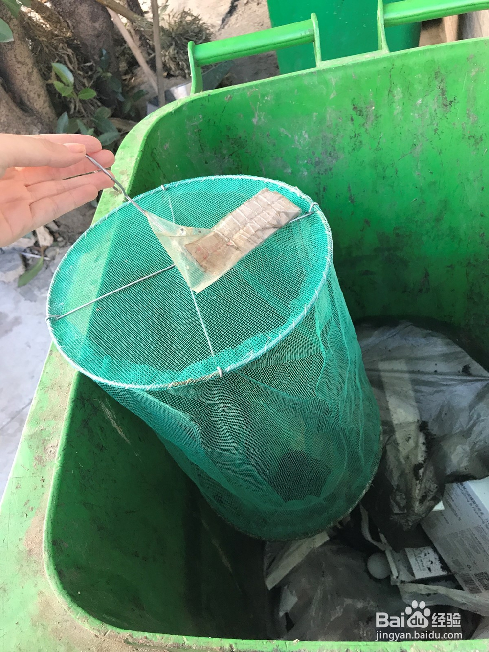 如何收起装满苍蝇尸体的苍蝇笼子(捕蝇笼)?