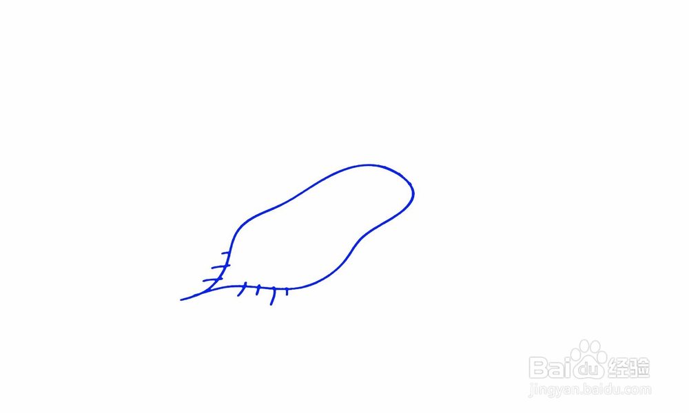 简笔画萝卜怎么画？