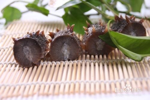 海参的作用以及食用禁忌有哪些