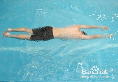 学习蛙泳，夏天游泳健身