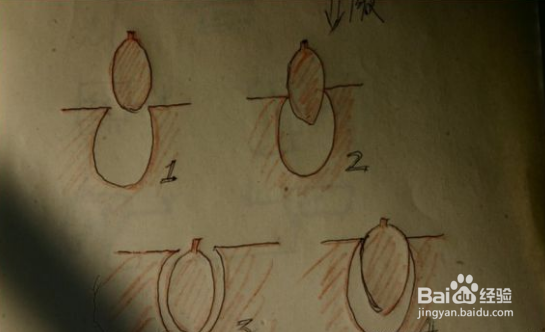 木雕莲蓬子是如何放进去