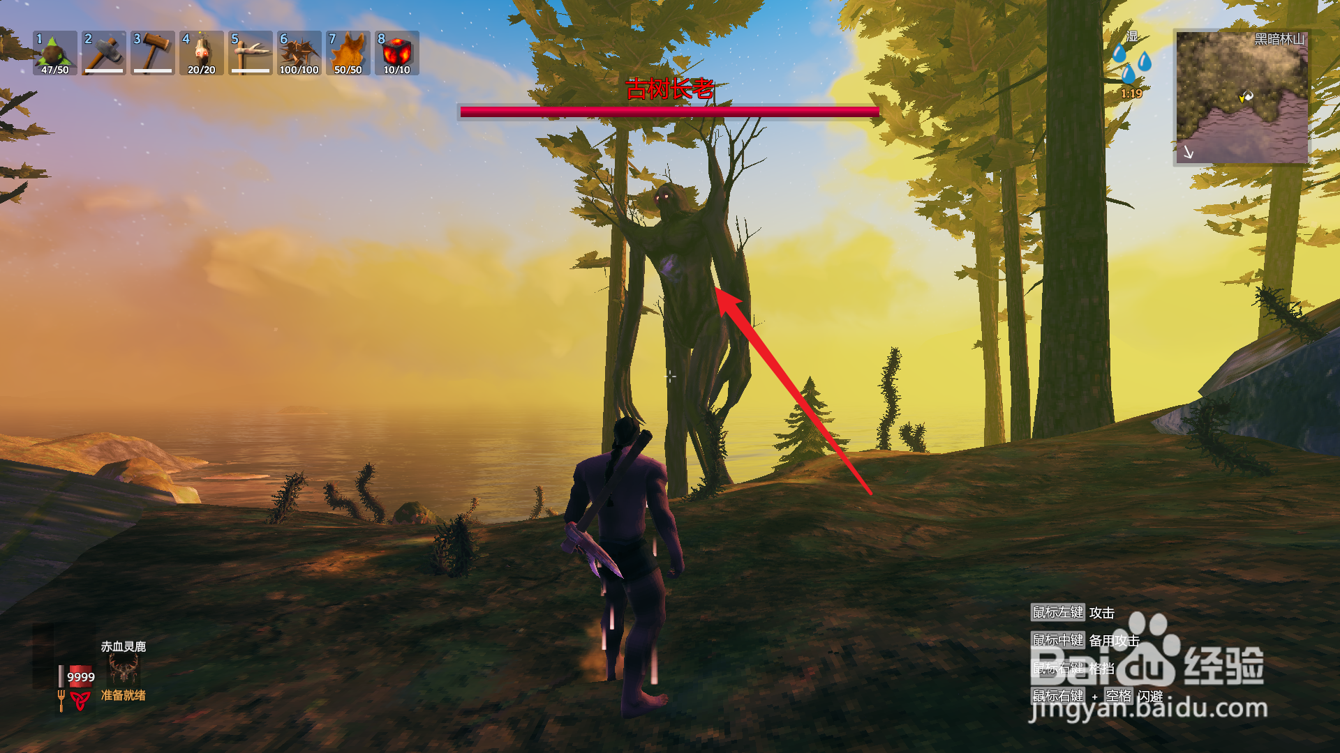 英灵神殿古树长老在哪里