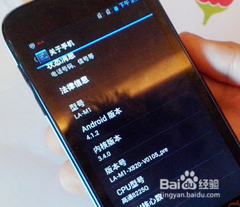 红辣椒和小辣椒哪个好