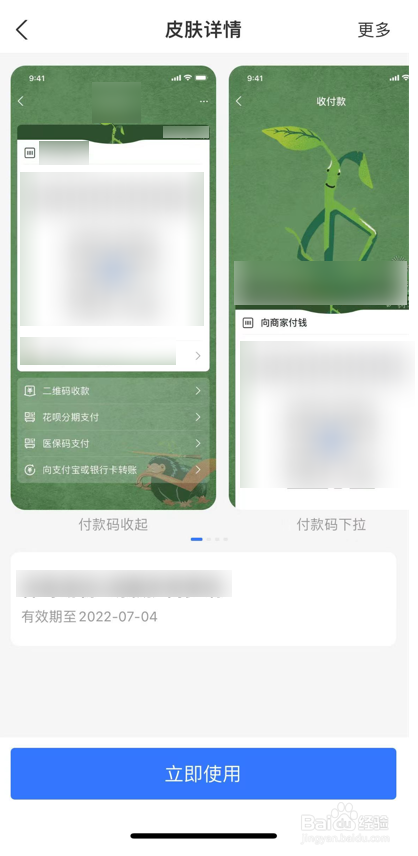 支付宝皮肤的使用方法