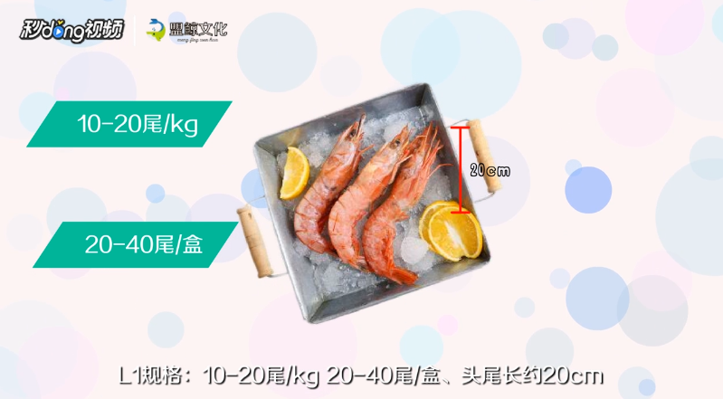 阿根廷红虾L1和L2区别是什么