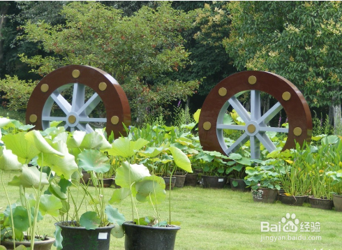 怎样过个好玩又省钱的春节？