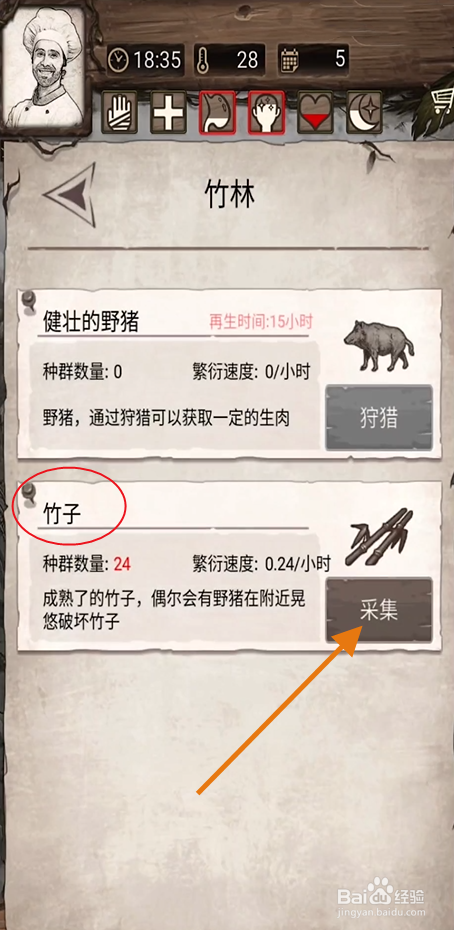《荒岛日记孤岛》如何采集竹子