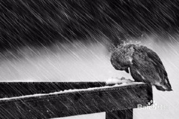 最浪漫礼物系列之“两个人的时光”