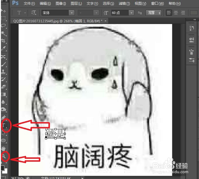 photoshop免费教程