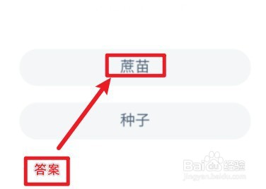 田间甘蔗种植什么开始 蚂蚁新村1月7日答案