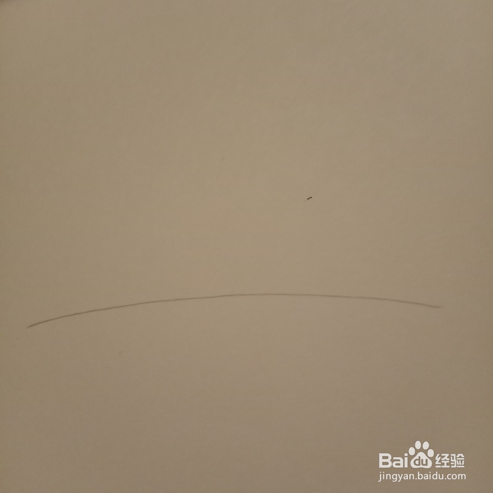 简单随笔画荷叶