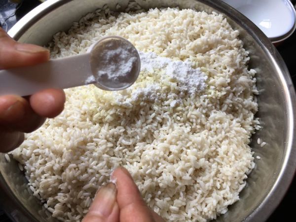 双豆粽和蜜枣粽和碱水粽