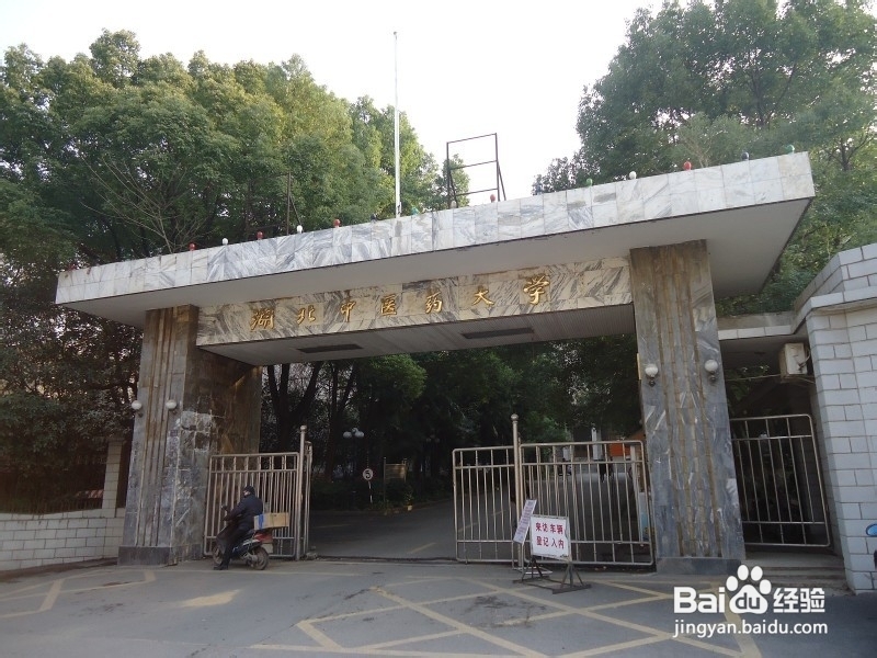 【湖中医小y学长大放送】湖中医导游篇