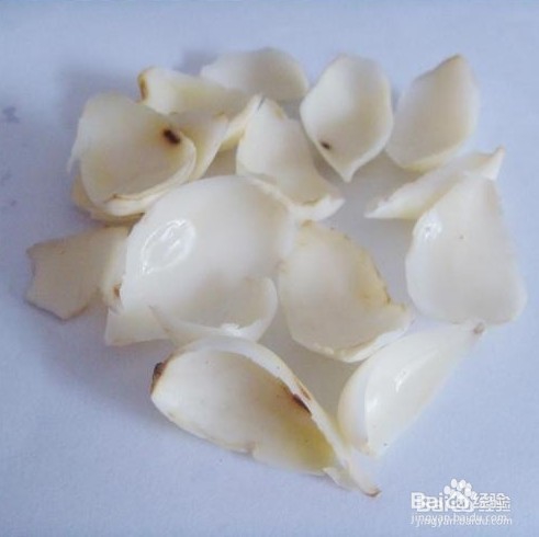 芷柏荷汤怎么做