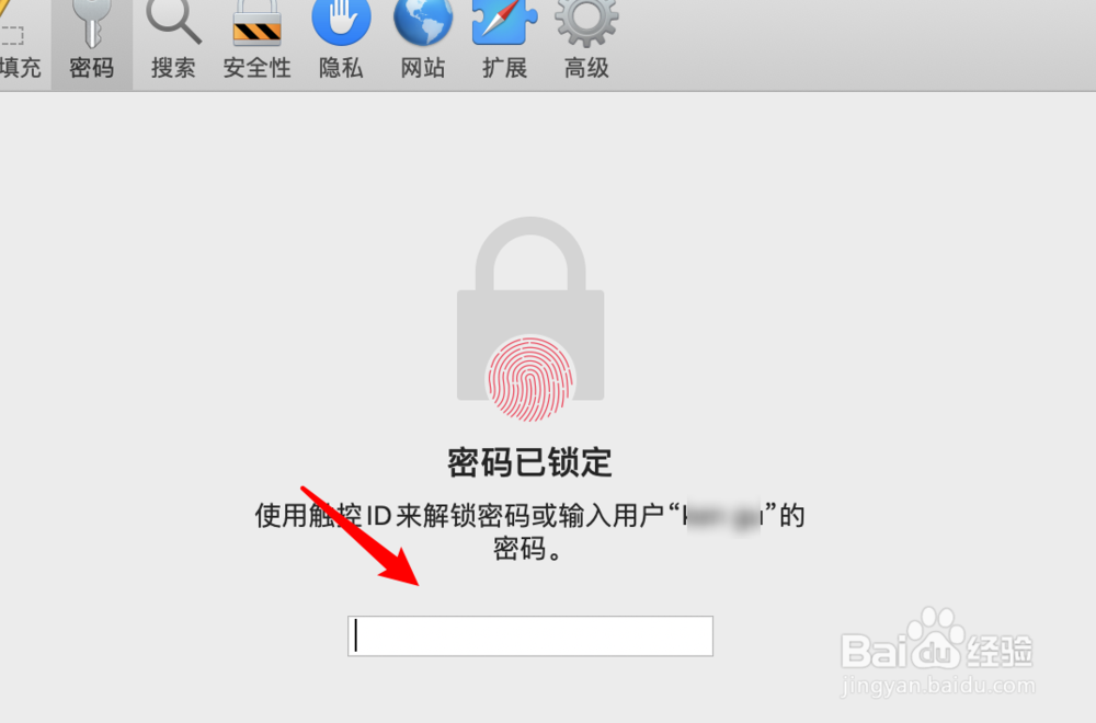 mac，safari浏览器，如何查看网站保存的密码？