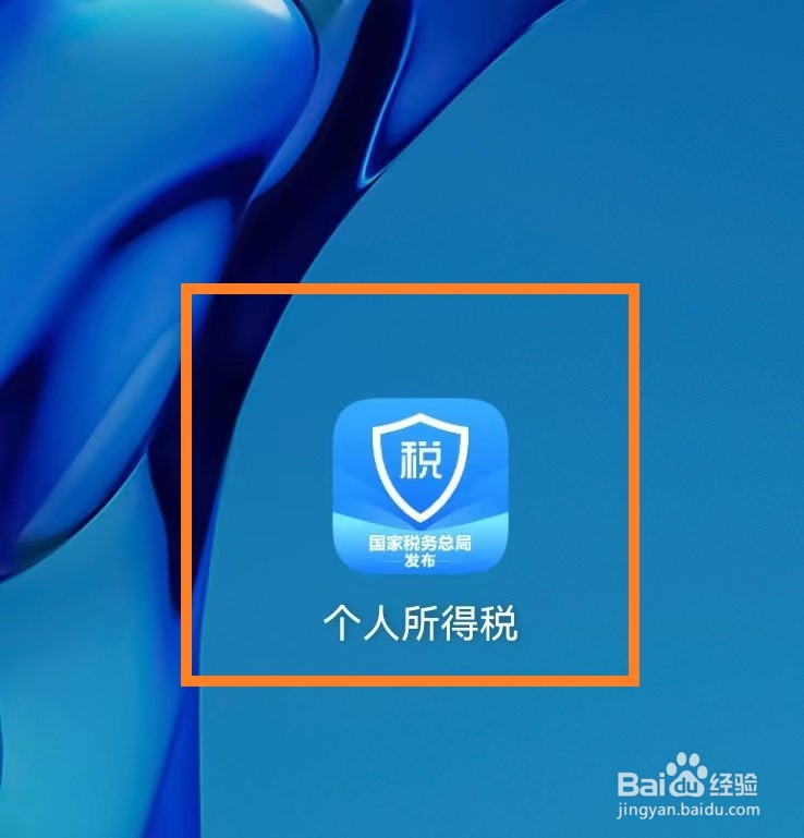 个人所得税app怎么查询收入纳税明细？