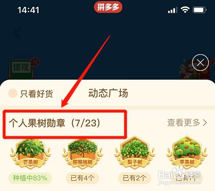 拼多多在哪里才能查看个人果树勋章