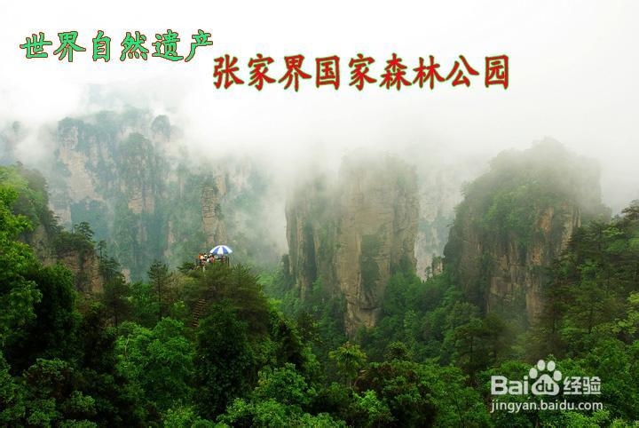 暑假张家界旅游攻略