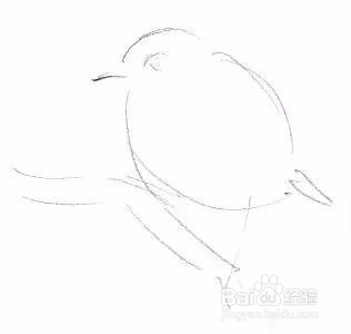怎样画动物素描下载