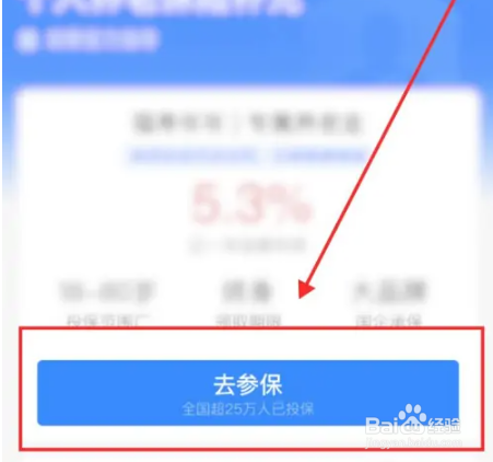 养老金怎么买