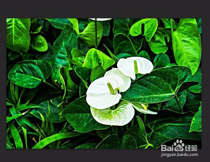 PS中怎么旋转图片？