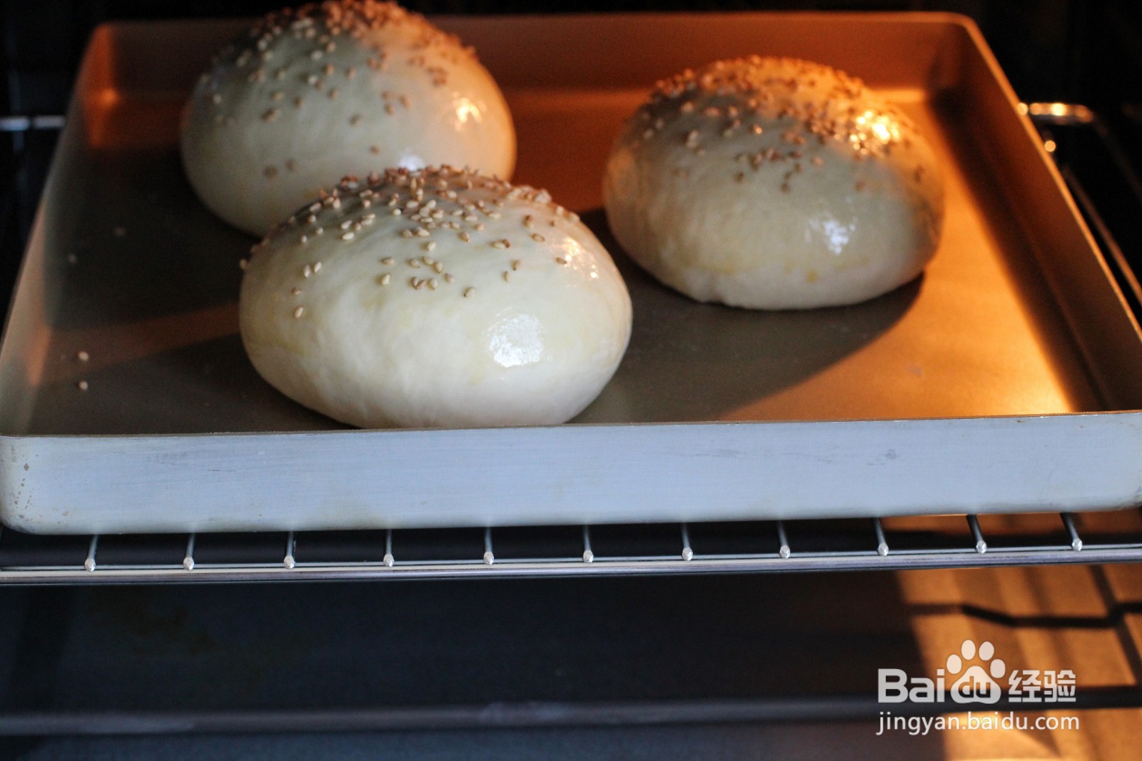 怎么自制汉堡胚