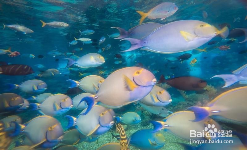 新加坡旅游简记22