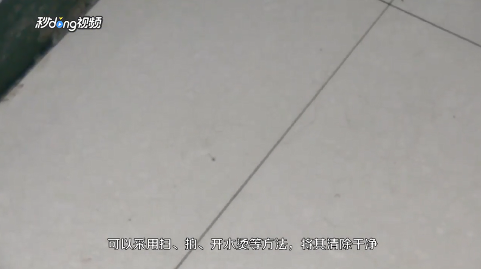 怎样消除千足虫