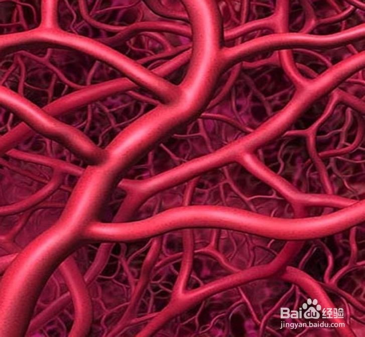 维生素B族的缺乏身体会有那些症状呢