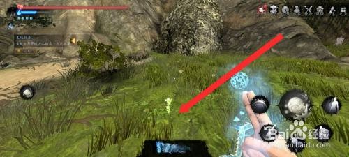 捕盗行纪如何才能采摘到石斛药材