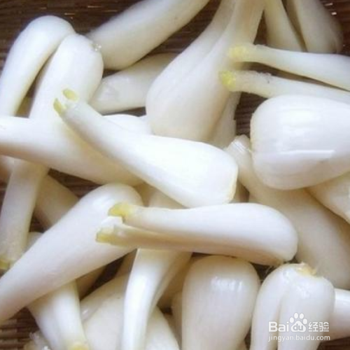 酸茭头怎么做?