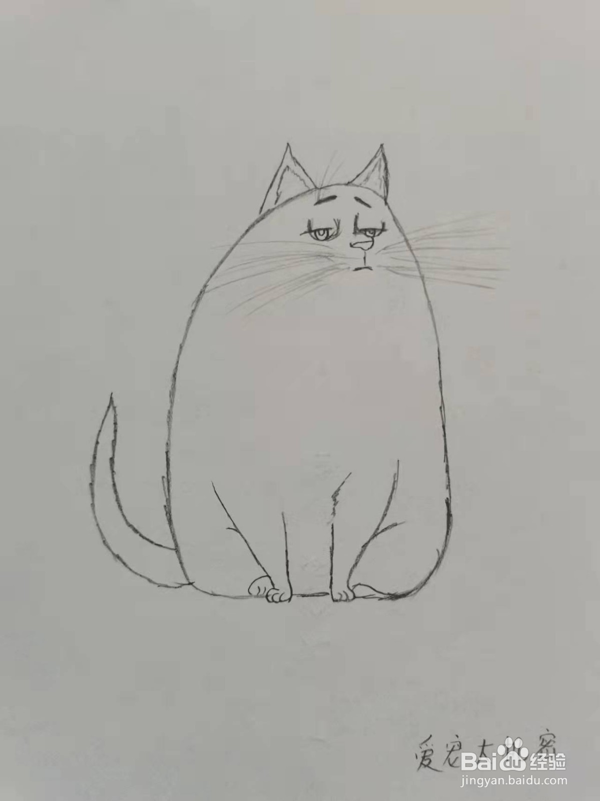 爱宠大机密里面的猫咪怎么画