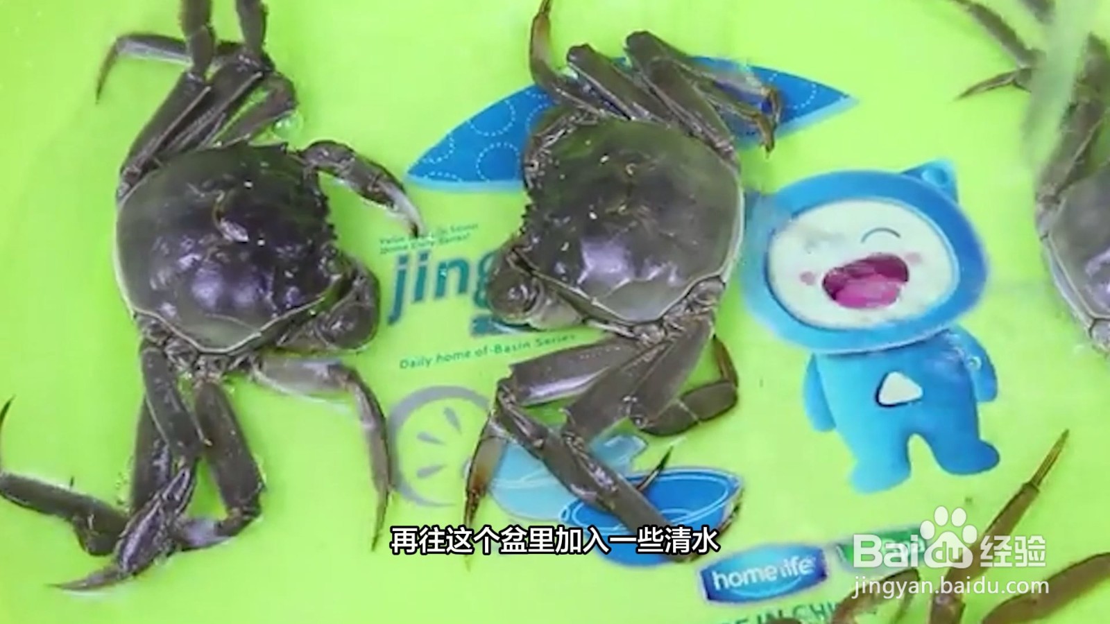 怎样保存大闸蟹