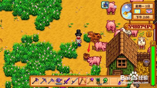 星露谷物语产油机攻略