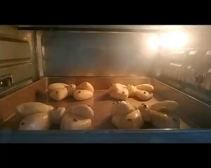 蝴蝶结牛奶面包的做法