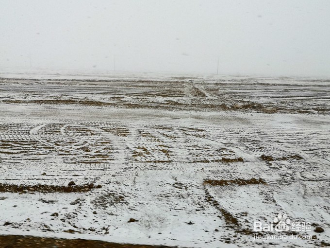 一段忘了初心的精彩秋游，西北