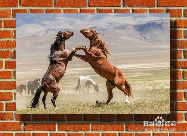 在 PS 中如何创建图片投射到墙上的阴影效果