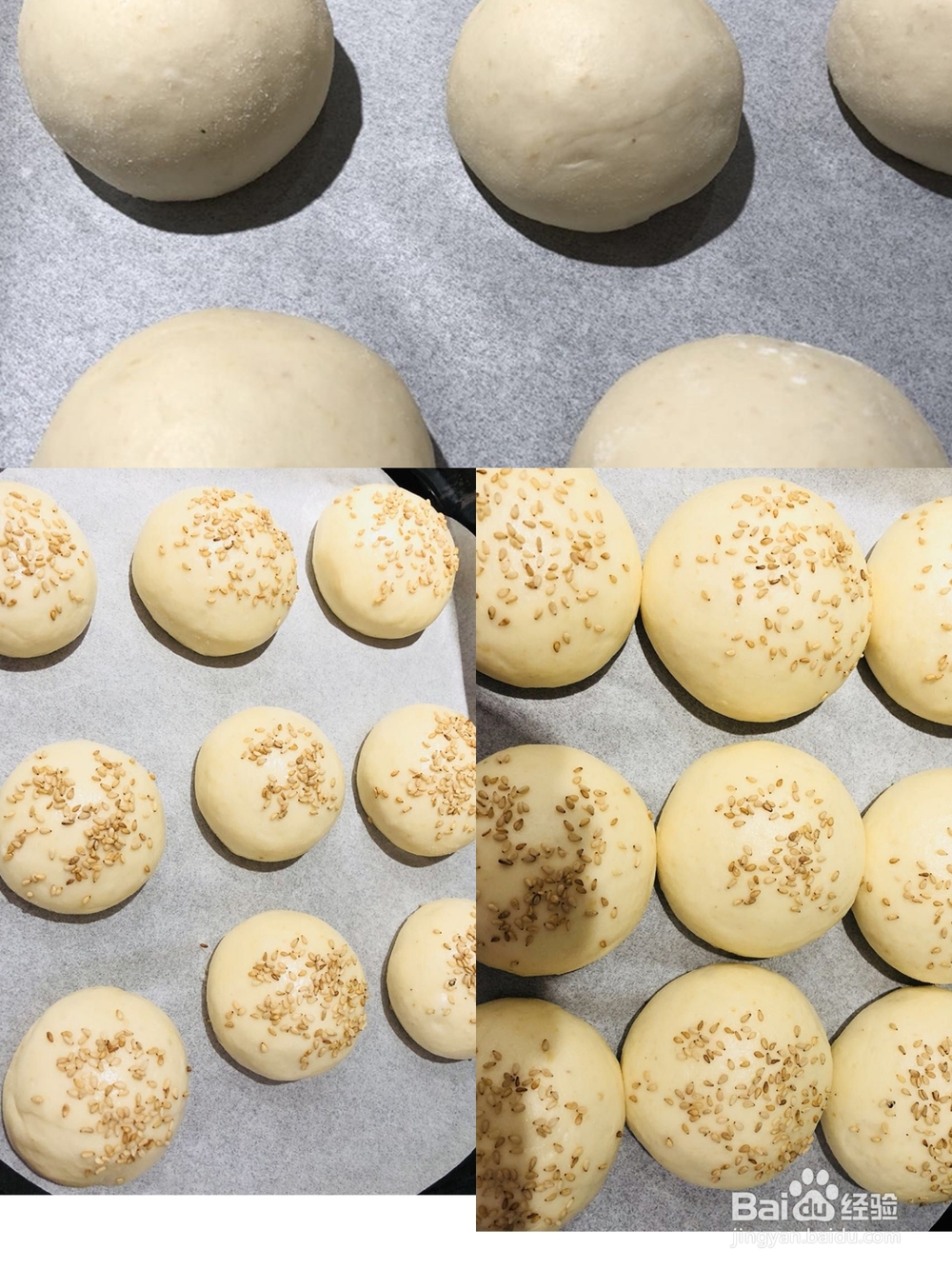 比较好吃的糙米鲜奶营养面包