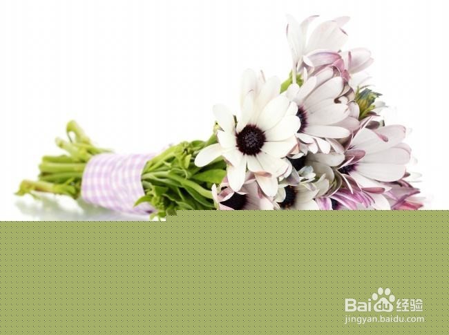 喜欢一个人怎么去表白？