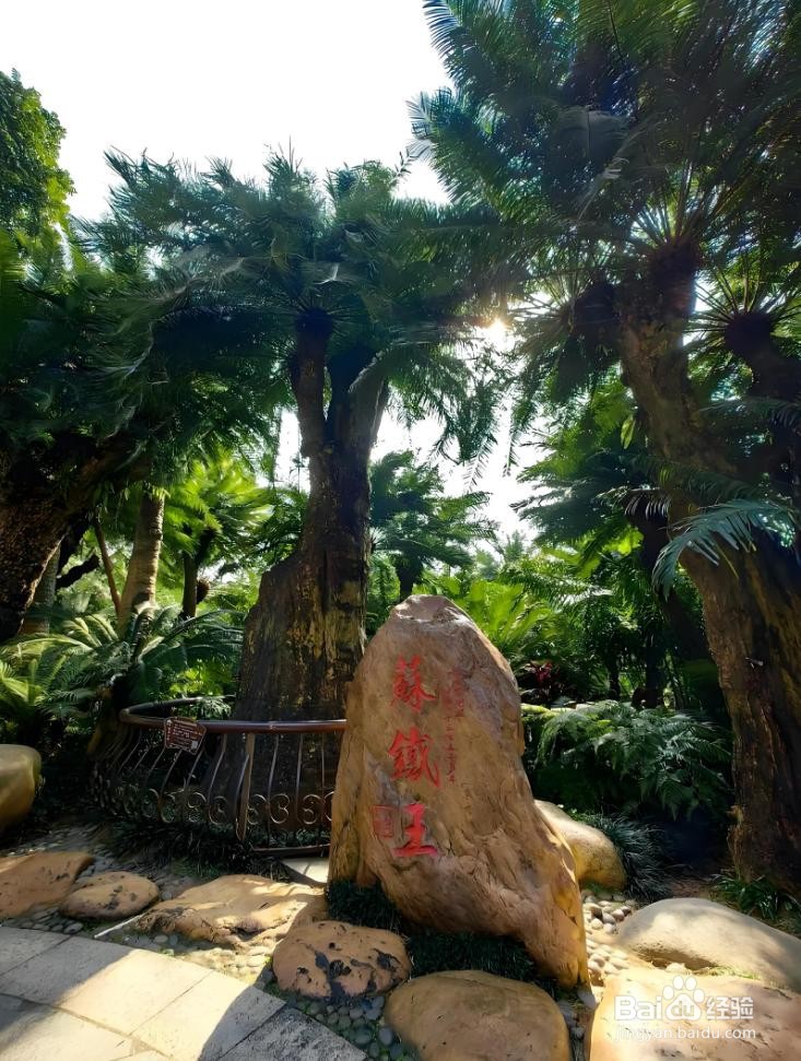 9月份来南宁该怎么玩