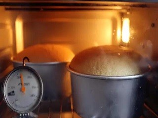 芒果裸蛋糕怎么做？