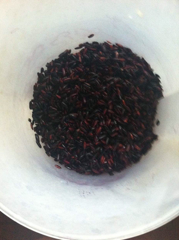 芒果黑糯米盏最简单的做法,赶紧来学学吧!