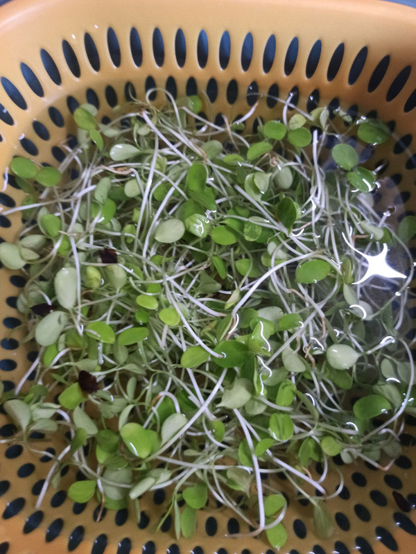 香椿芽拌豆腐丝