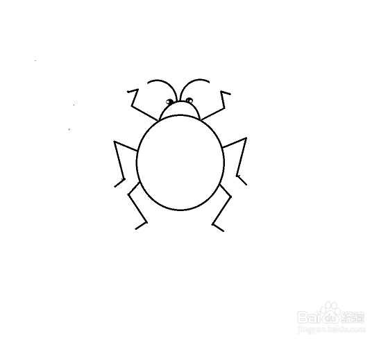瓢虫的简笔画