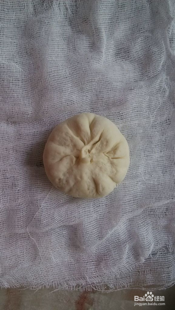 鲜肉包子的做法